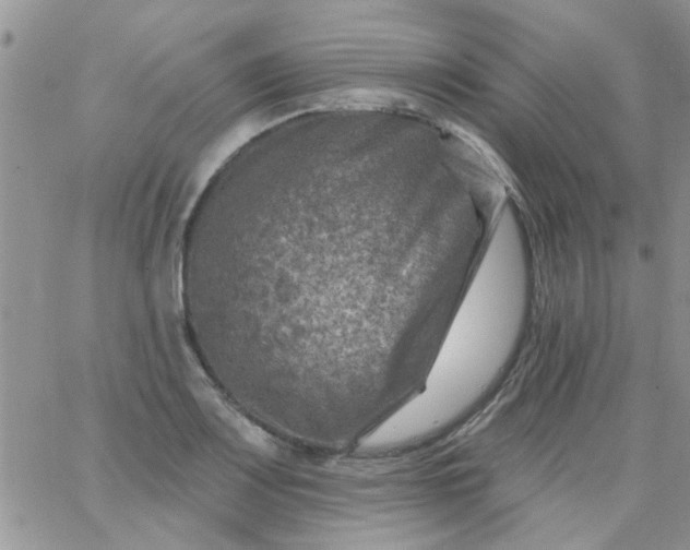 X0000065971083200603172044