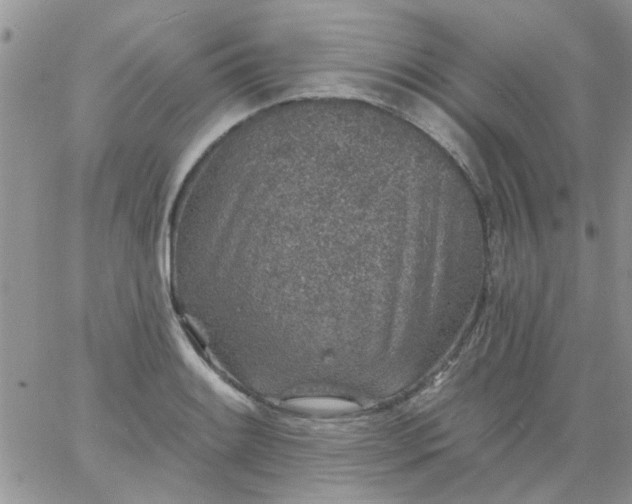 X0000065971084200603172044