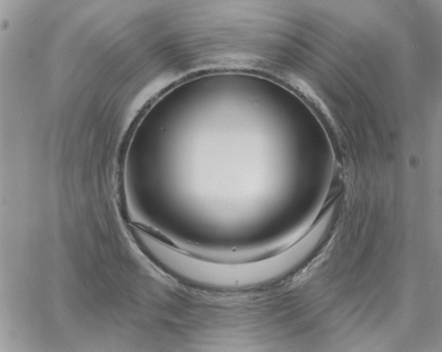 X0000065971085200603172044