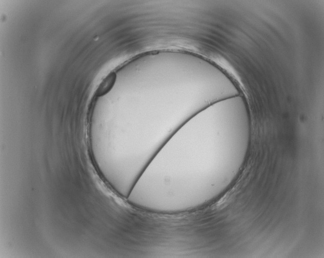 X0000065971088200603172044