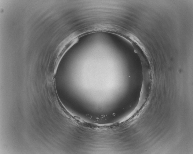 X0000065971089200603172044