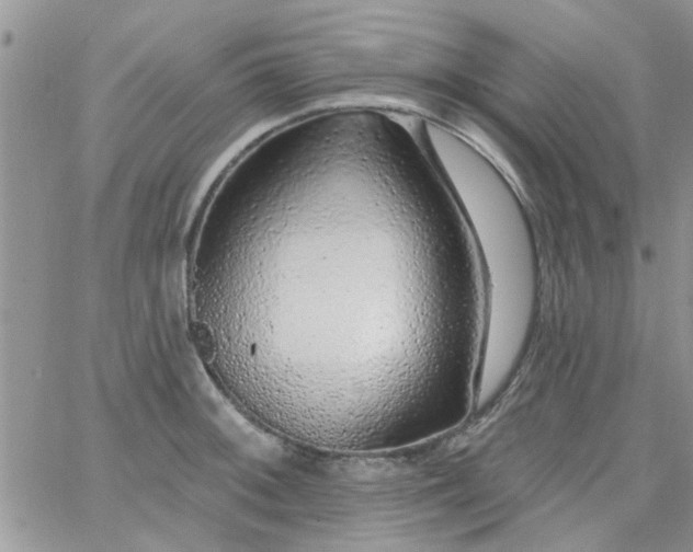 X0000065971092200603172044