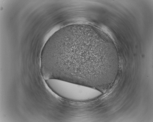 X0000065971095200603172044