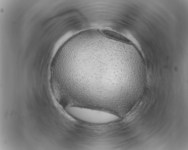 X0000065971096200603172044