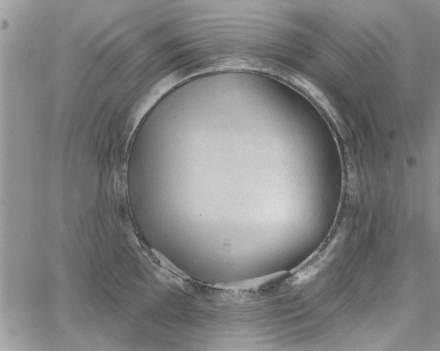 X0000065971097200603172044