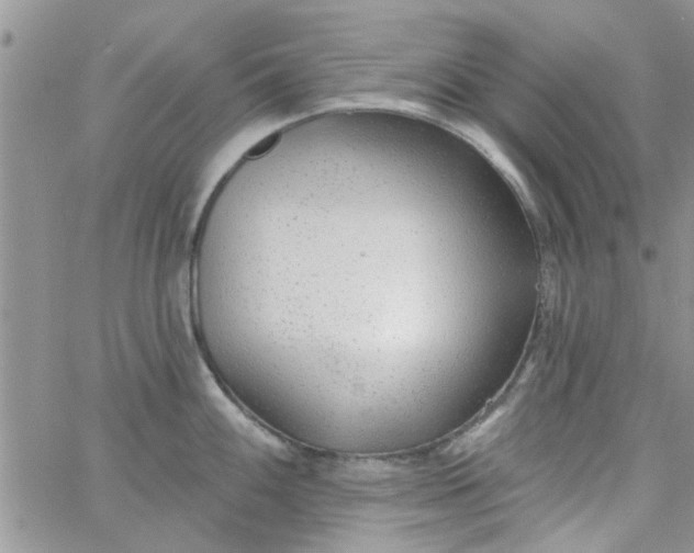 X0000065971100200603172044