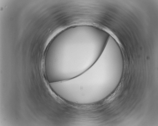 X0000065971101200603172044