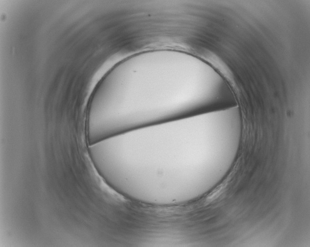 X0000065971102200603172044