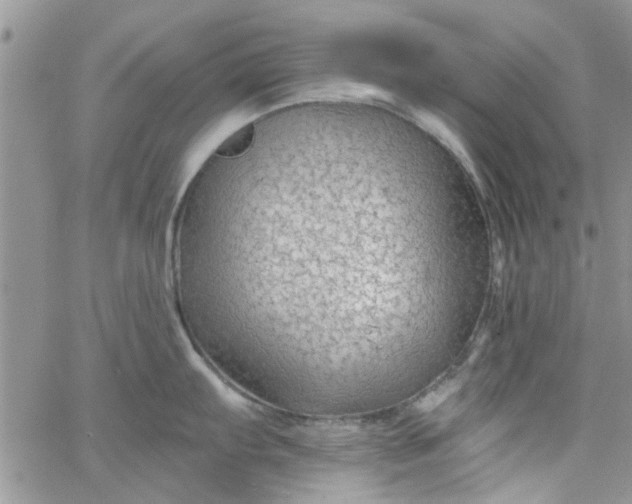 X0000065971103200603172044