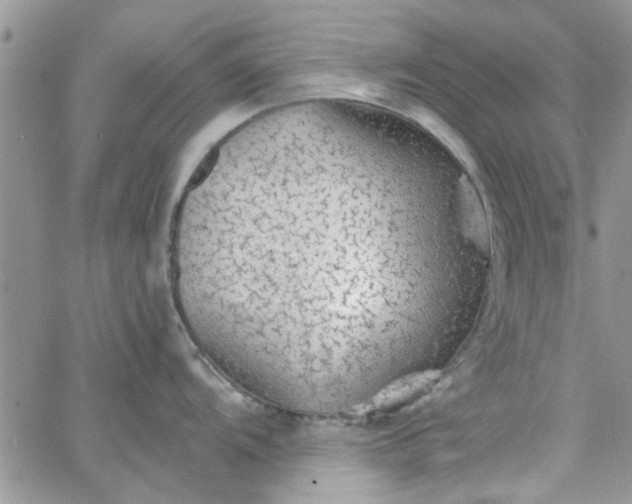 X0000065971104200603172044