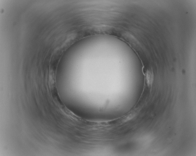 X0000065971107200603172043