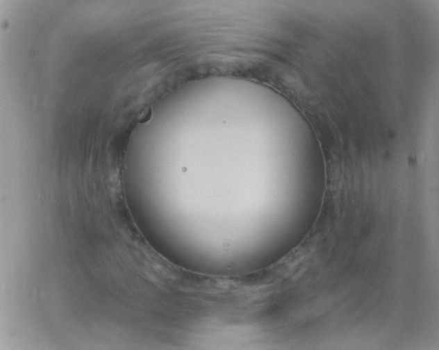 X0000065971109200603172043