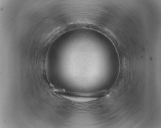 X0000065971110200603172043