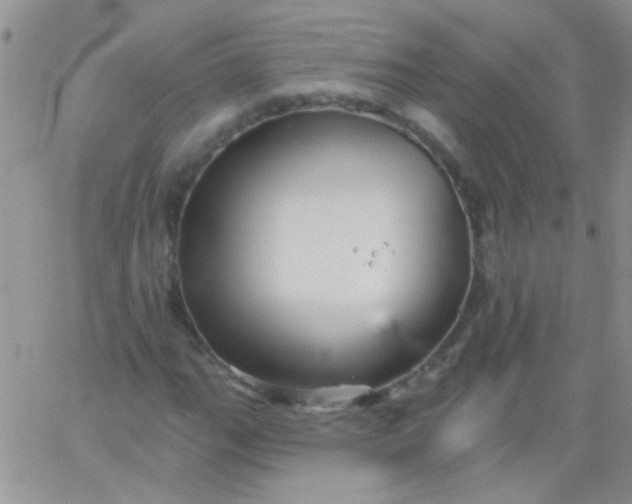 X0000065971111200603172043