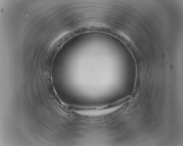 X0000065971112200603172043