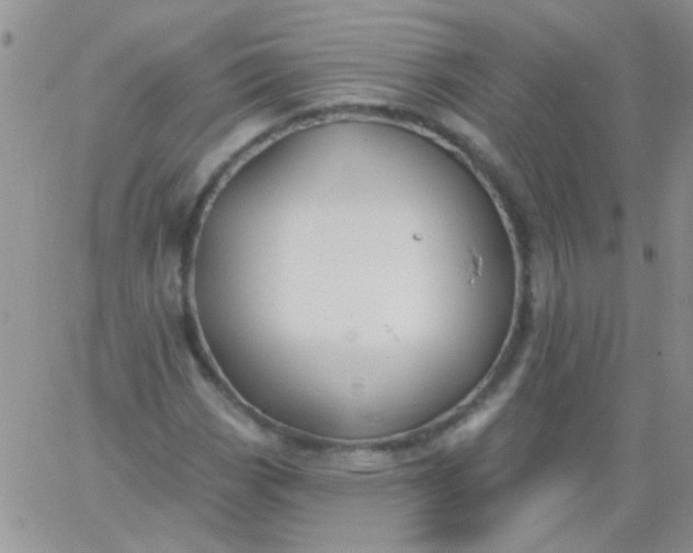 X0000065971113200603172043