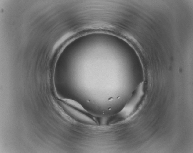 X0000065971114200603172043