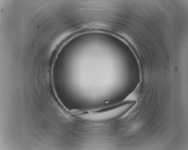 X0000065971115200603172043