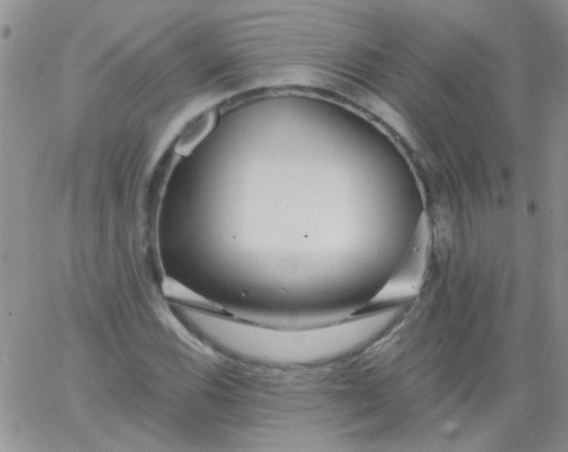 X0000065971116200603172043