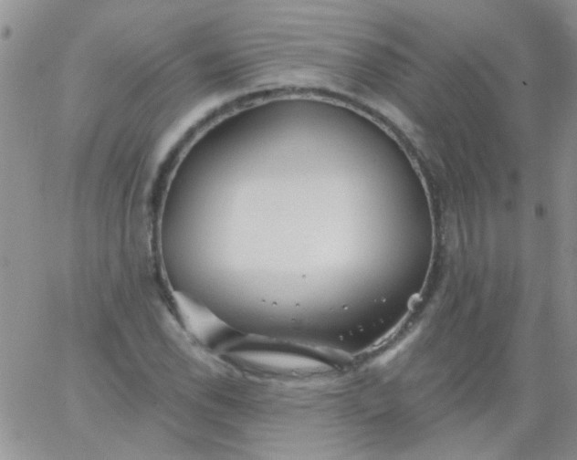 X0000065971118200603172043