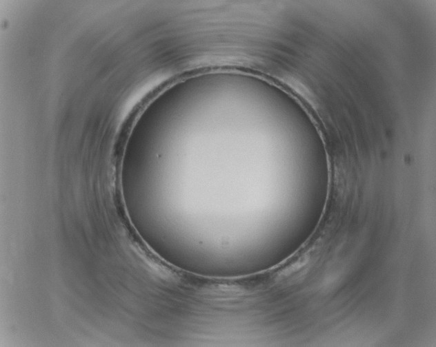 X0000065971119200603172043