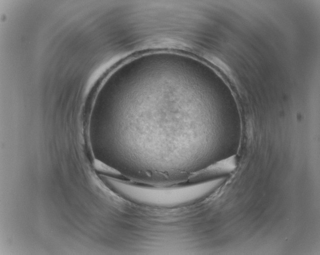 X0000065971120200603172043