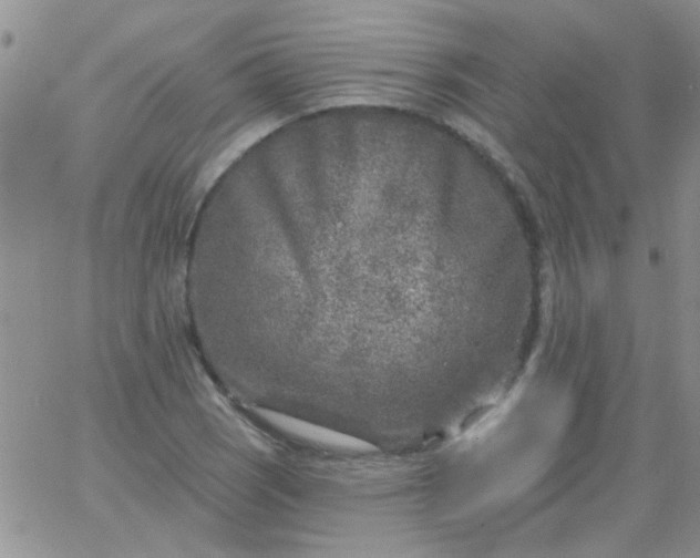 X0000065971121200603172043