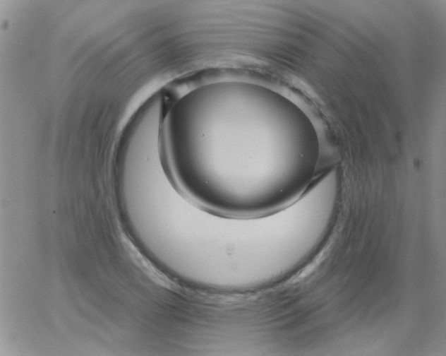 X0000065971122200603172043