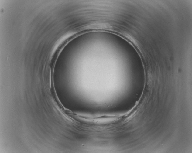 X0000065971123200603172043