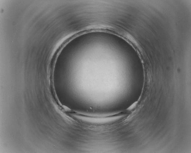 X0000065971124200603172043