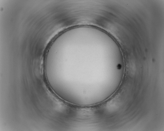 X0000065971126200603172043