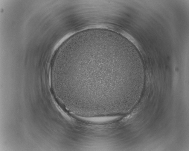 X0000065971127200603172043