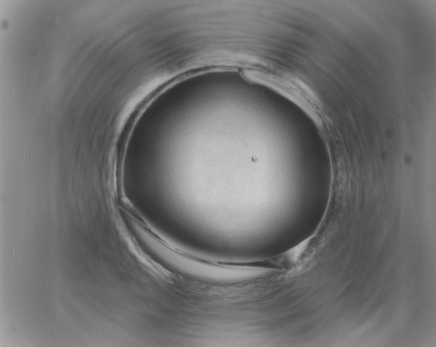 X0000065971128200603172043