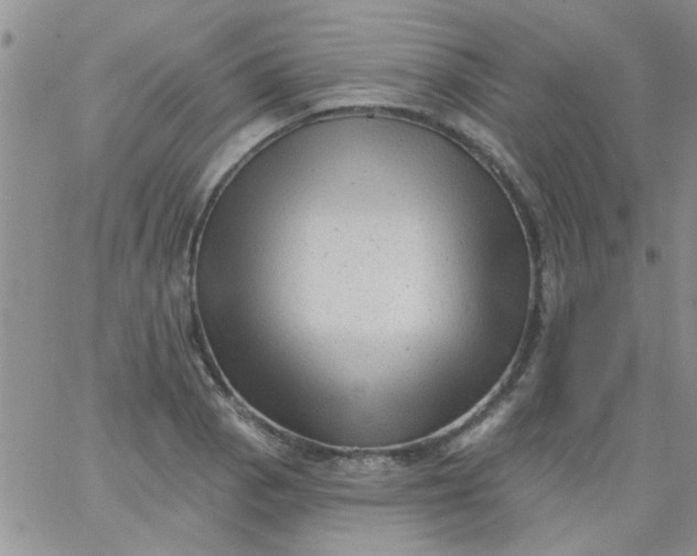 X0000065971129200603172043