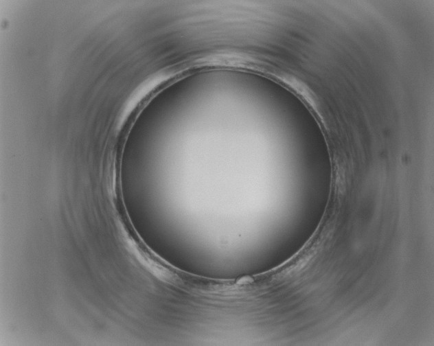 X0000065971131200603172043