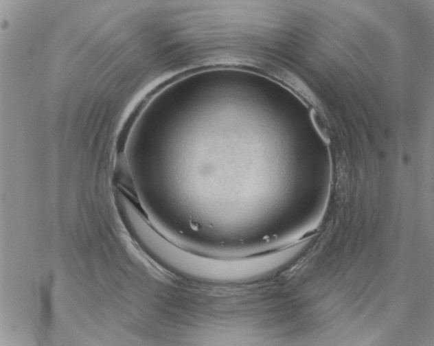 X0000065971132200603172043