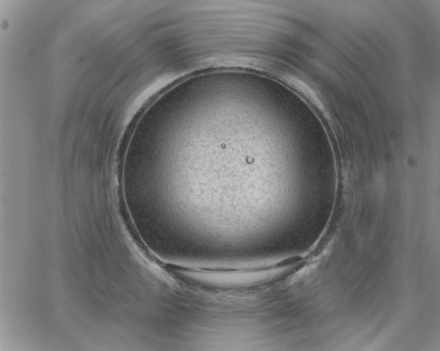 X0000065971133200603172043