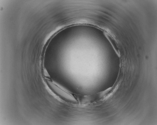 X0000065971134200603172043