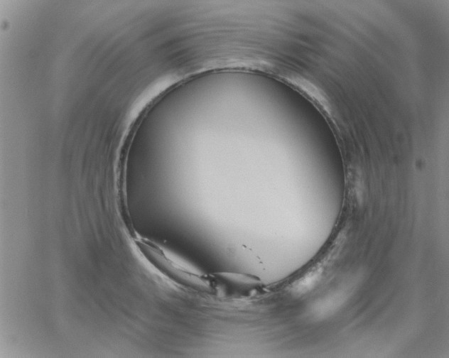 X0000065971135200603172043