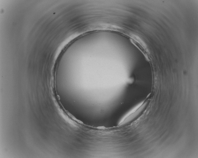 X0000065971136200603172043