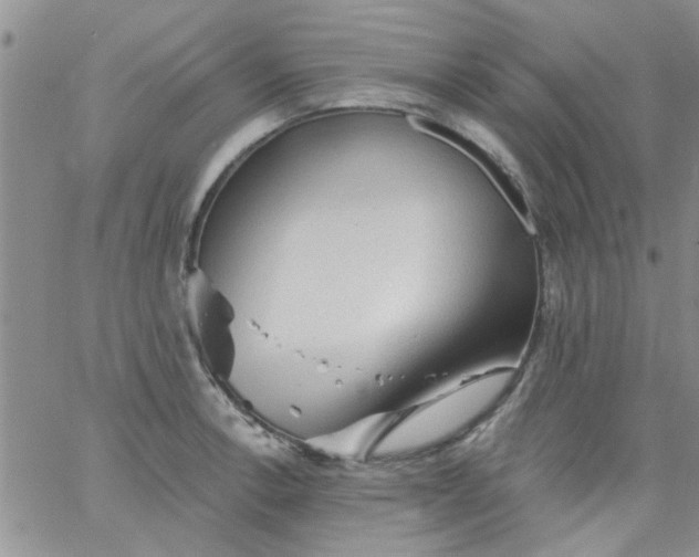 X0000065971138200603172043