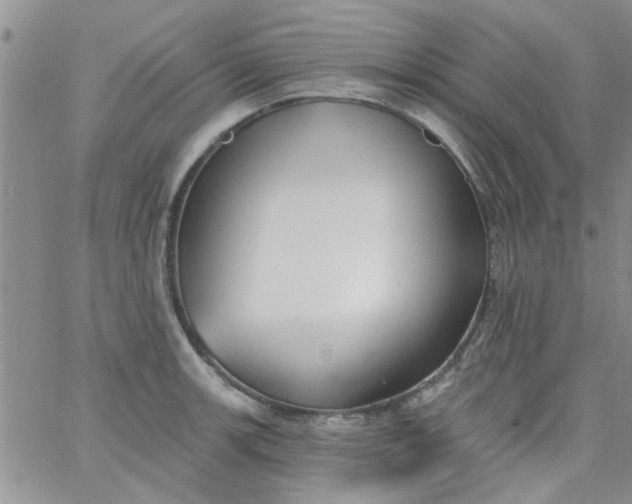 X0000065971139200603172043