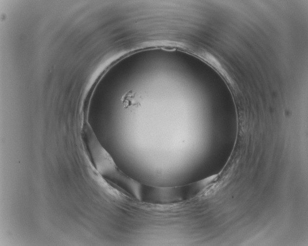 X0000065971140200603172043