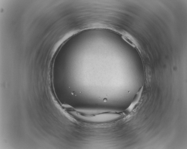 X0000065971142200603172043