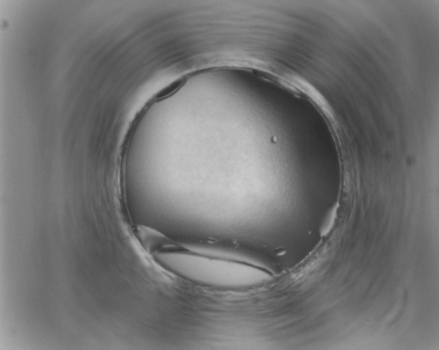 X0000065971144200603172044