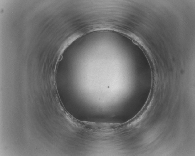 X0000065971145200603172044