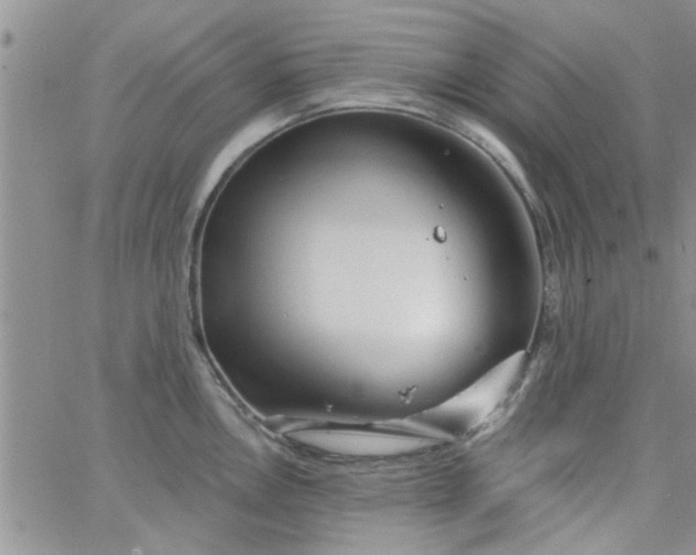 X0000065971146200603172044