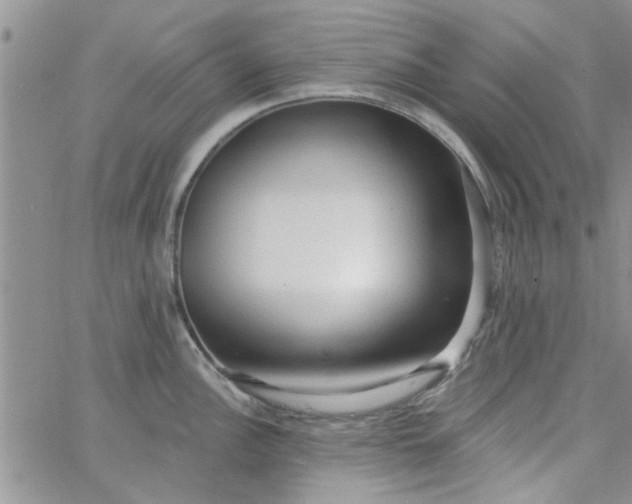 X0000065971148200603172044