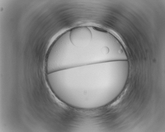 X0000065971149200603172044