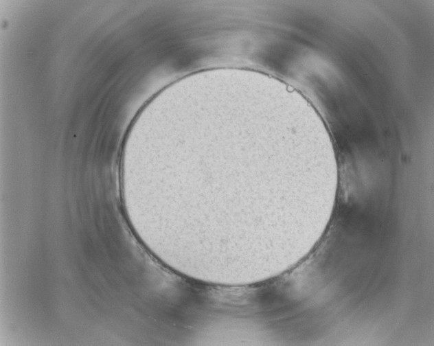 X0000065971150200603172044